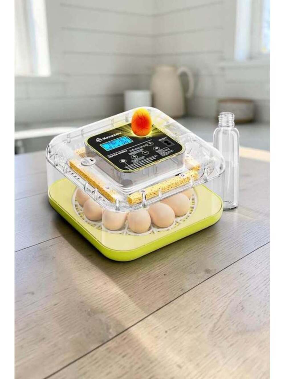 Egg Incubator 12 Eggs, Auto Turning, Humidity Control, 360° View, New in Box